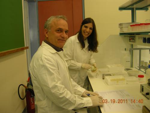ergastirio 52